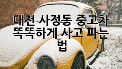 대전 사정동 중고차 🚗💨 똑똑하게 사고 파는 법!